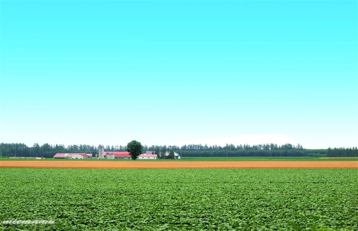 なつぞらのロケ地