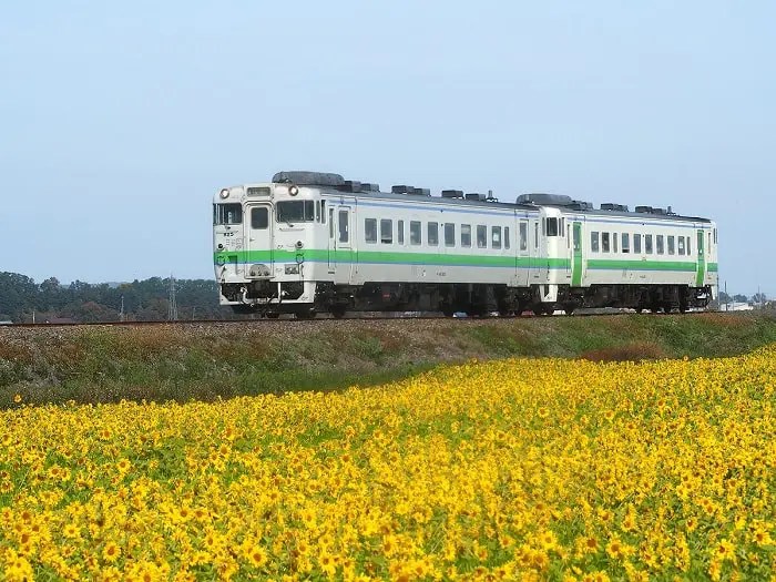 「西一線道路」水田地帯を走る札沼線