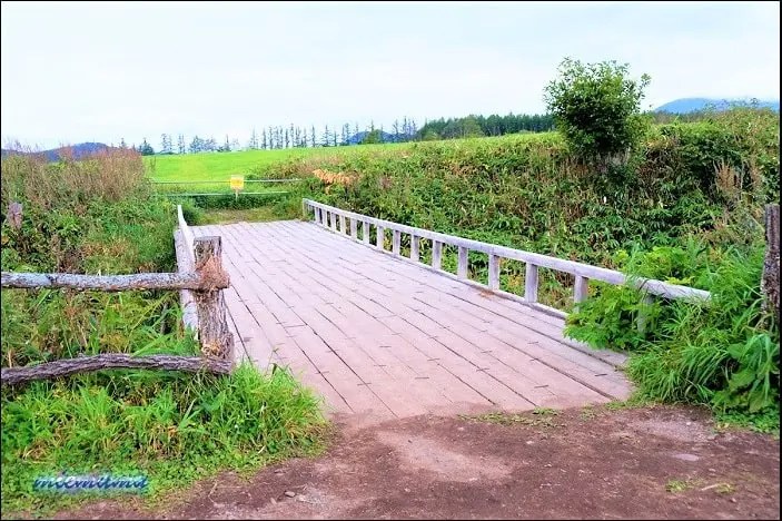 柴田牧場への道