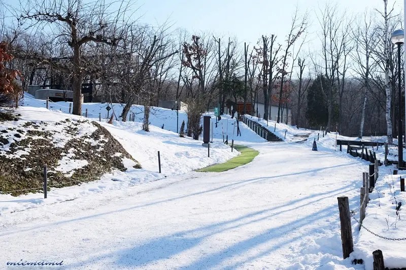 雪景色の旭山動物園