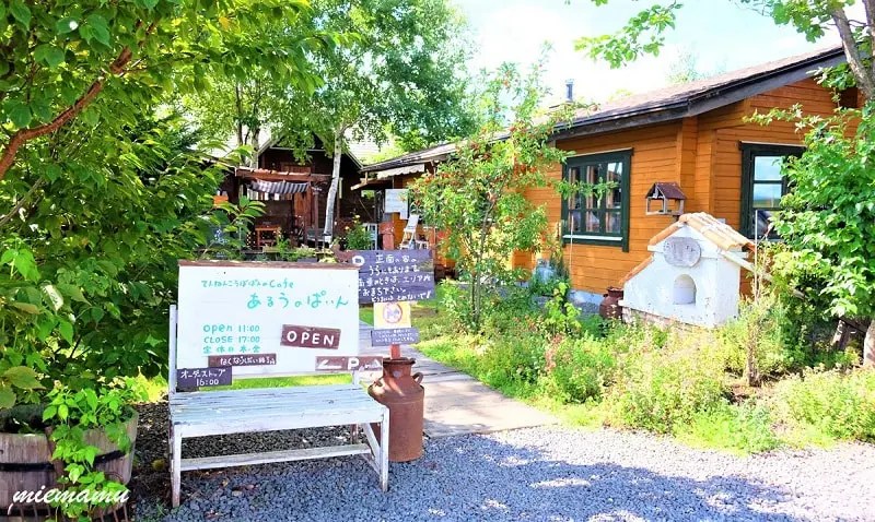 あうるのぱいん