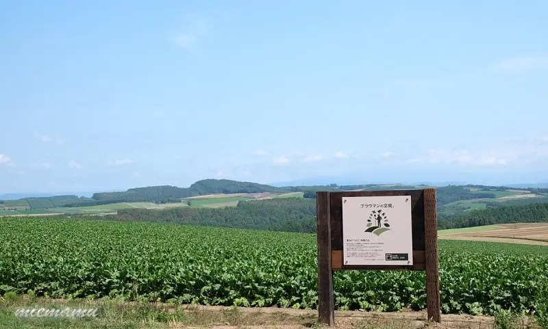 ブラウマンの空庭