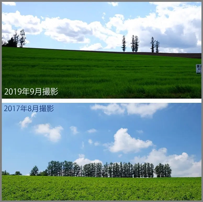 マイルドセブンの丘 比較