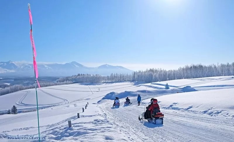 四季彩の丘 スノーモービル