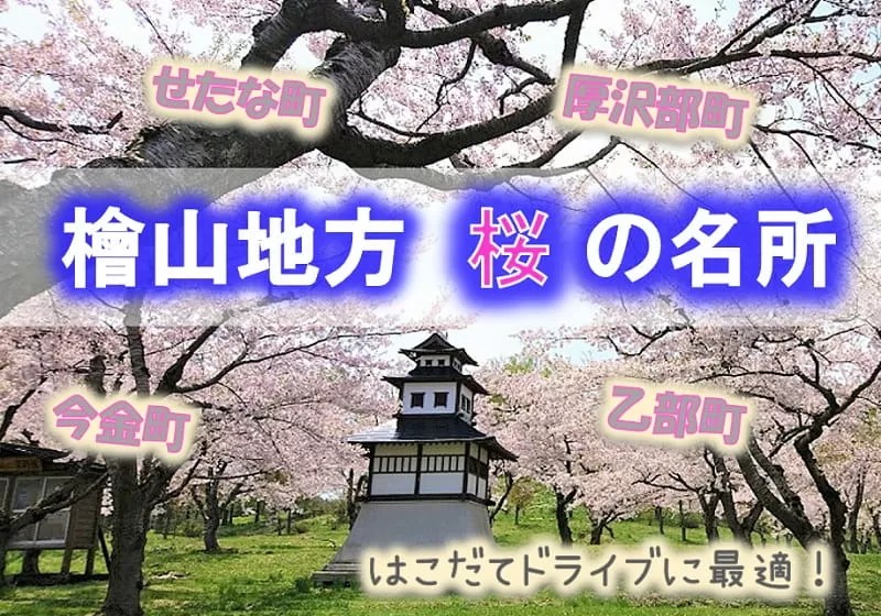 檜山地方の桜の名所