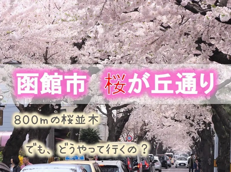 函館市 桜が丘通