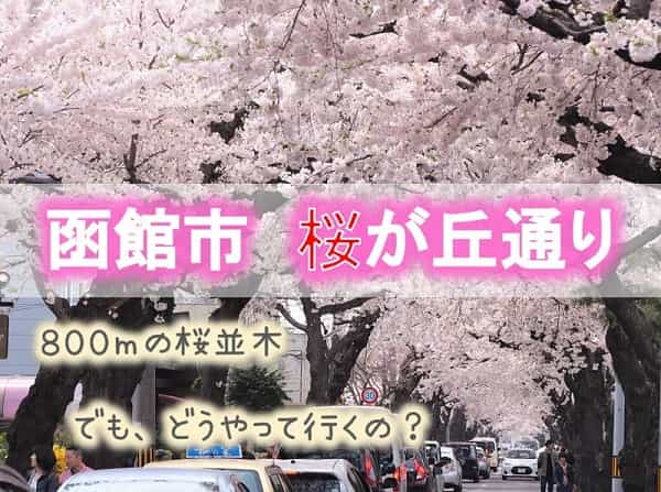 函館/桜が丘通り