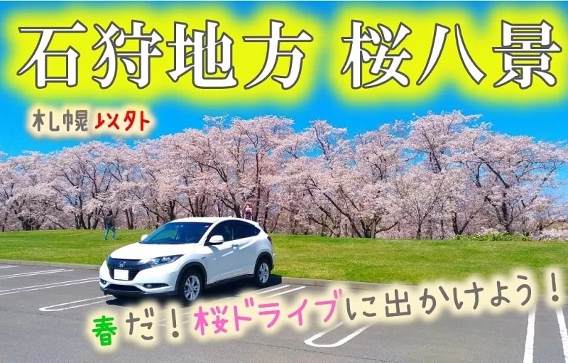 石狩地方桜八景！札幌近郊で最高の桜「戸田記念墓地公園」など名所満載！
