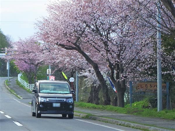 車で行く