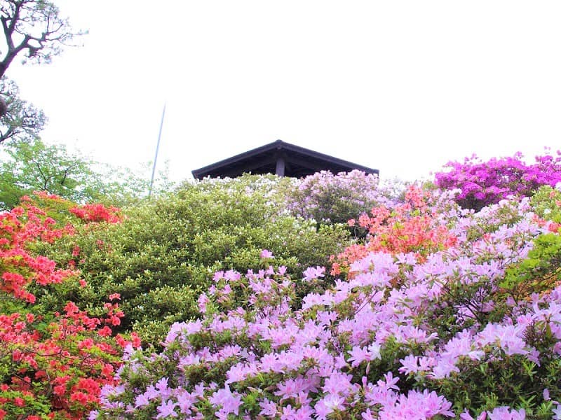 5月中旬の函館