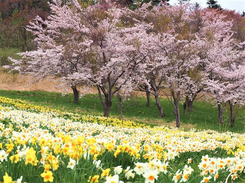 玉川公園