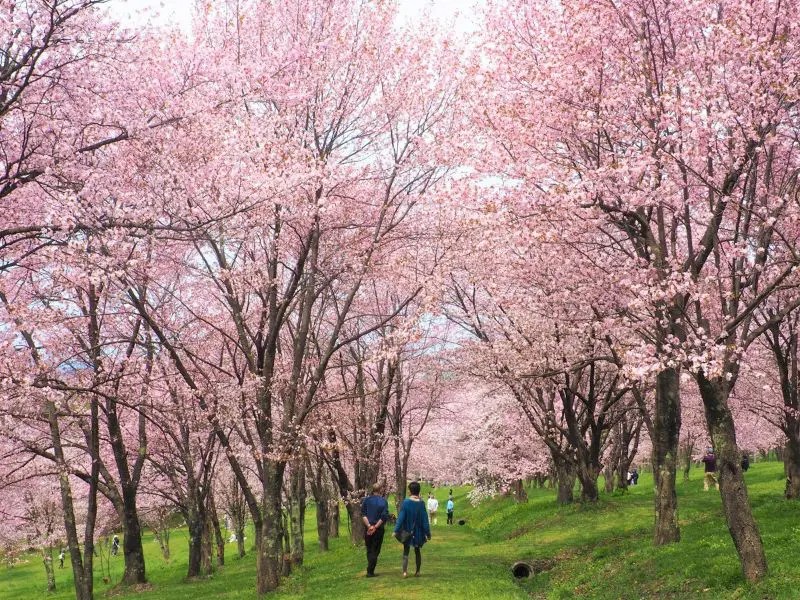 キトウシ森林公園