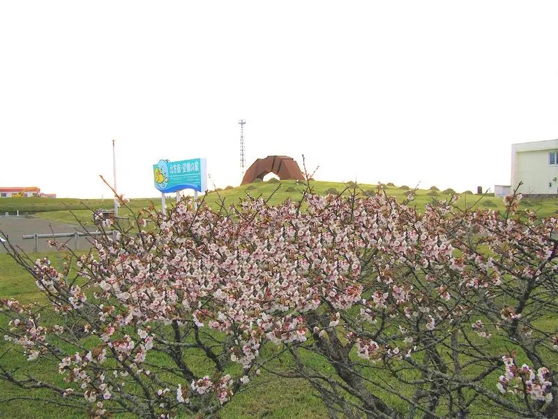 【根室市】望郷の岬公園