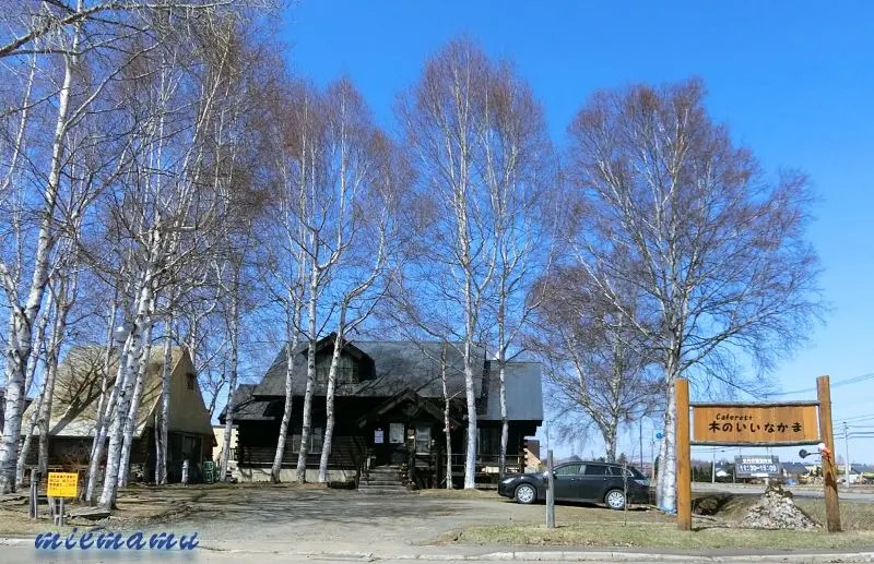 木のいいなかま