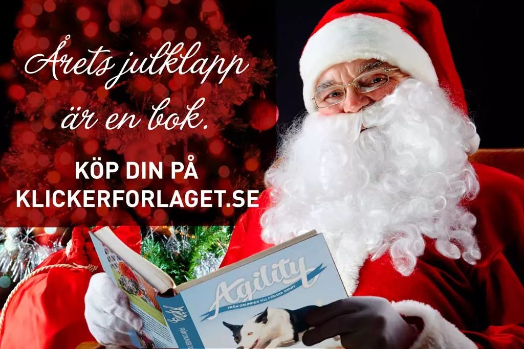 Arets Julklapp Ar En Bok Klickerforlaget