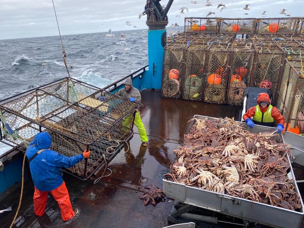 After Years Of Population Declines Bering Sea King And Snow Crab Seasons Canceled Kmxt 100 1 Fm