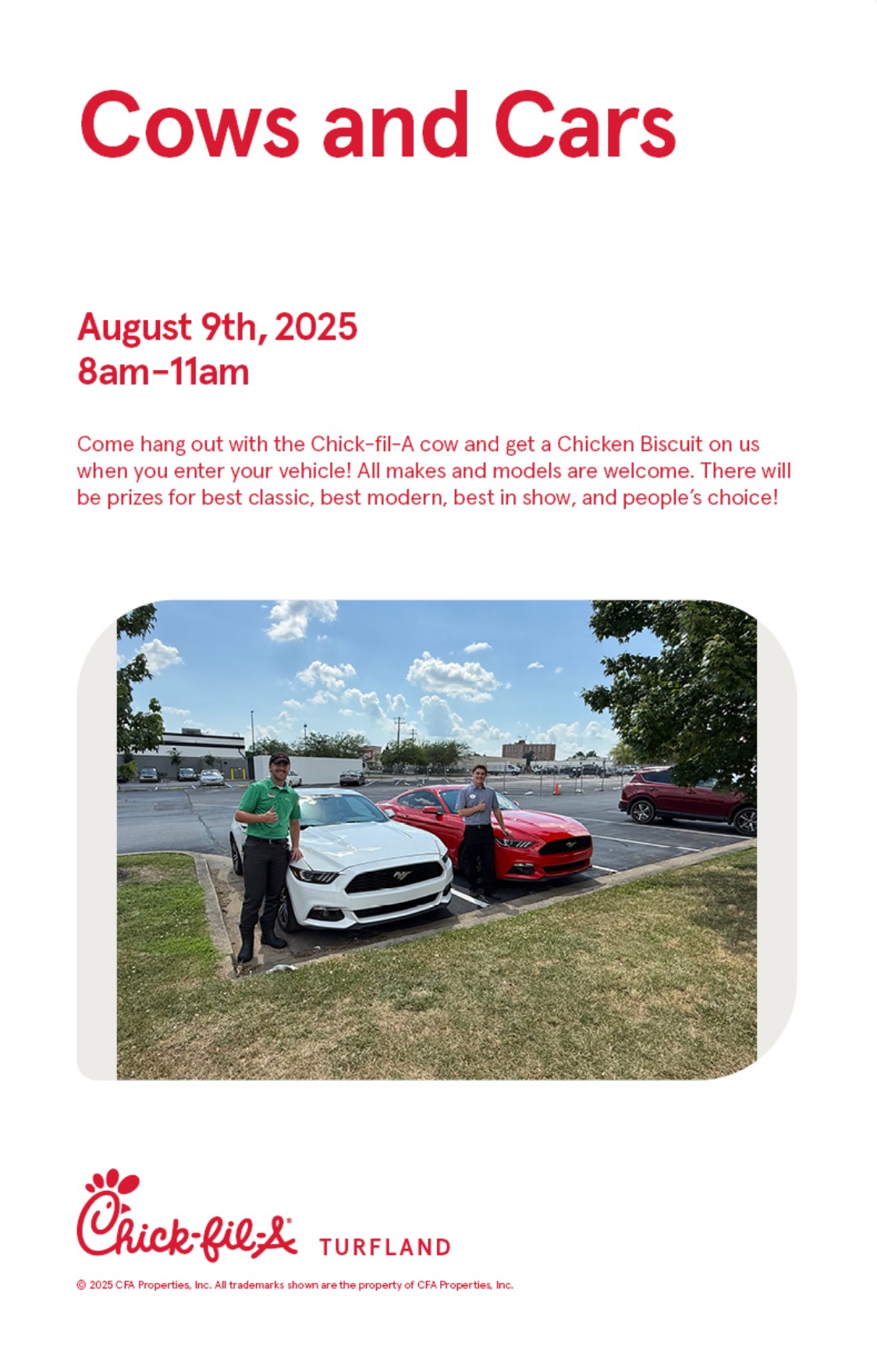 Cars and Cows