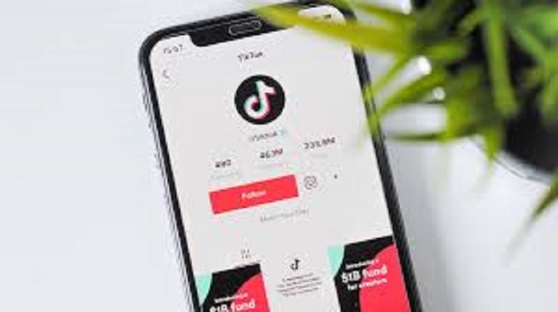 Tik Tok Comment Gagner De L Argent Avec L Application Les Etapes A Suivre L Frii
