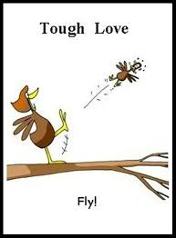 Tough Love Lessons Of Bikram Yoga Landscapes For Learning