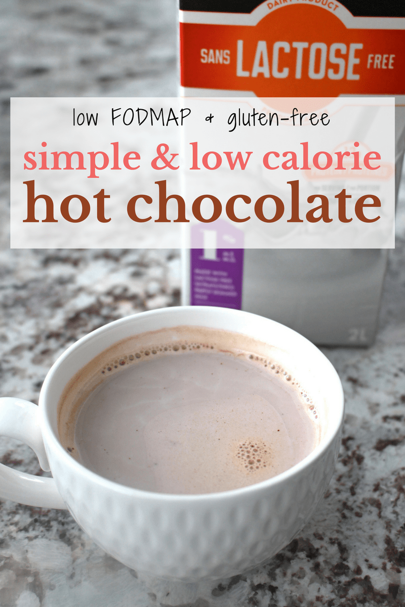 Simple Low Calorie Low Fodmap Hot Chocolate Recipe