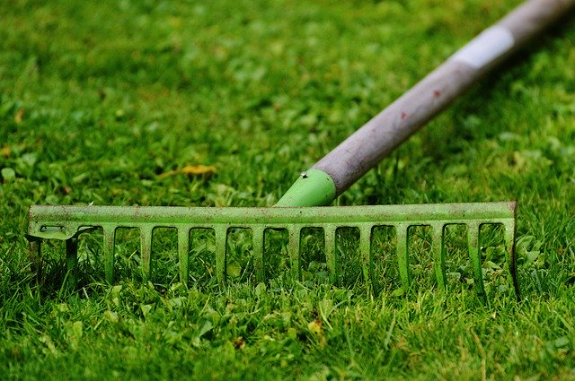 How To Overseed A Lawn The Right Way Lawn Chick