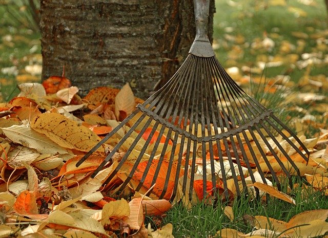 Best Way To Bag Leaves Without Losing Your D Mn Mind Lawn Chick