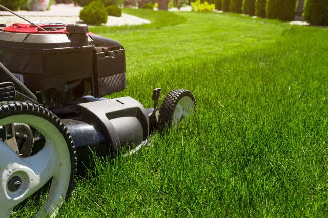 How To Mow Wet Grass Without Ruining Your Lawn Or Mower