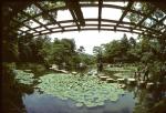 Heian Garden