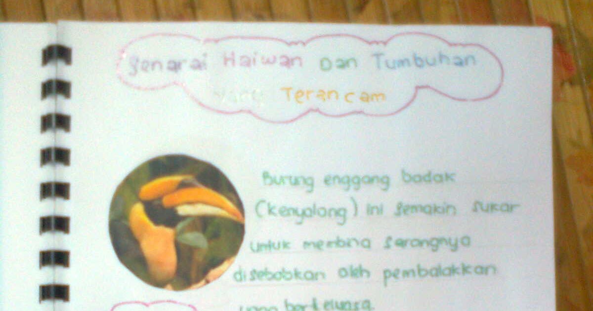 Contoh Buku Skrap Sains Tingkatan 2 Bab 8 Contoh Box – Otosection