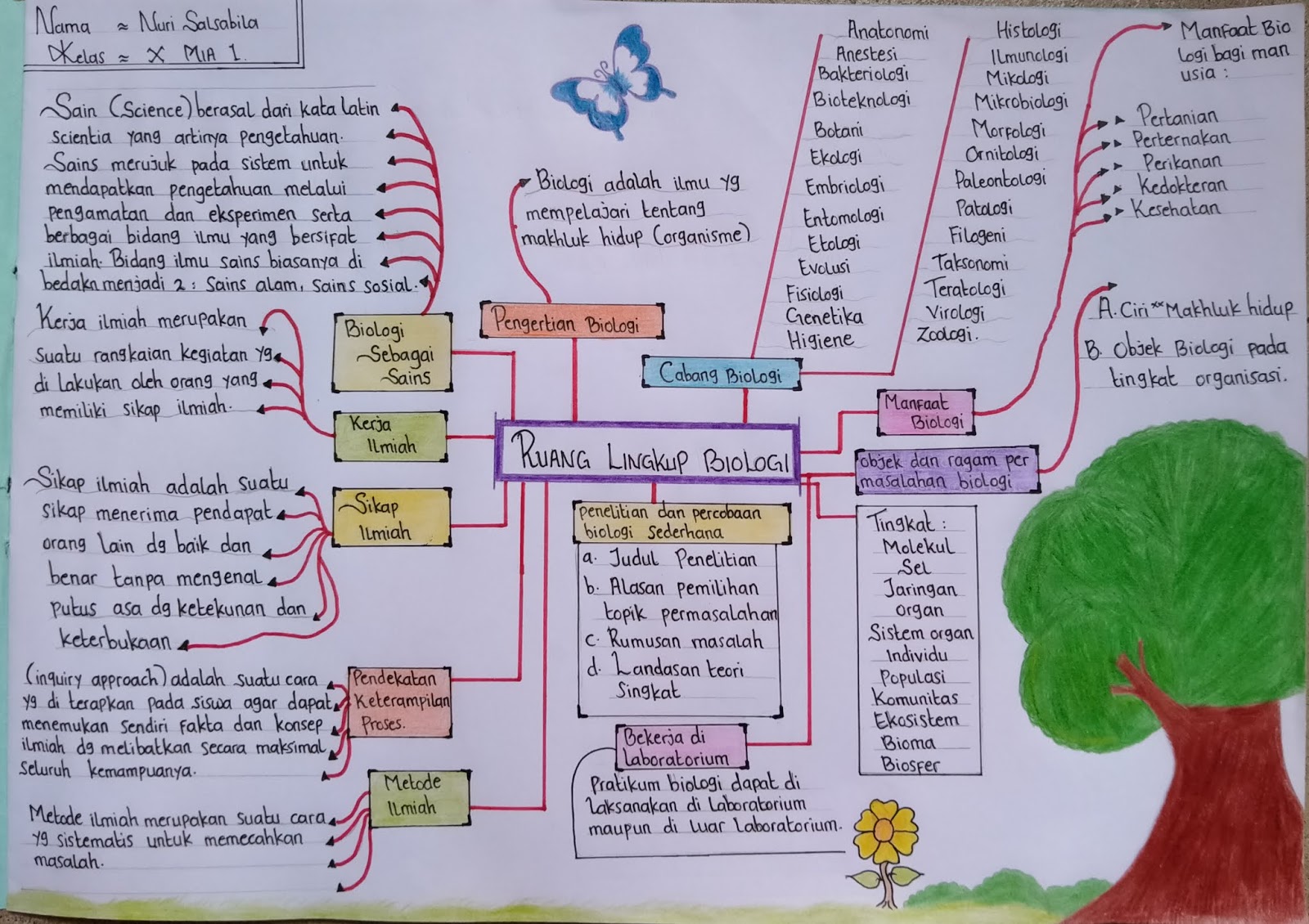 Mind Map Dan Peta Konsep Materi Ruang Lingkup Biologi Cuntorio Otosection