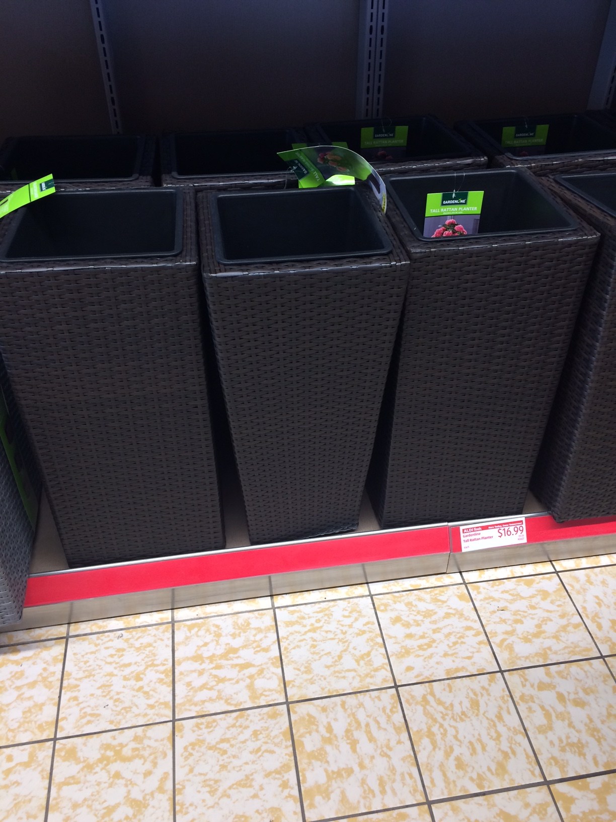 Thrifty Thursday Tall Rattan Planter Aldi Finds Lisa S Two Cents