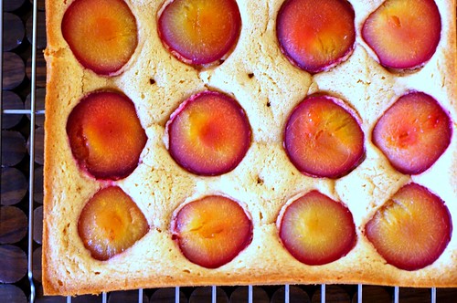dimply plum cake