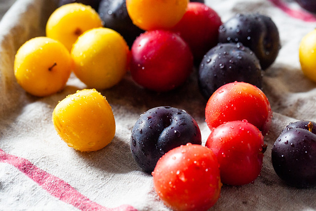 plum and cream scone cobbler-01