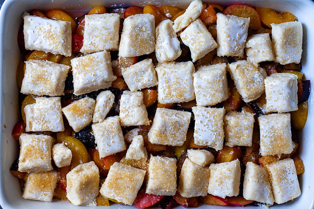 plum and cream scone cobbler-09