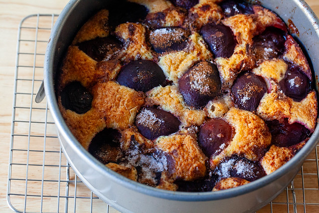 purple plum torte-08