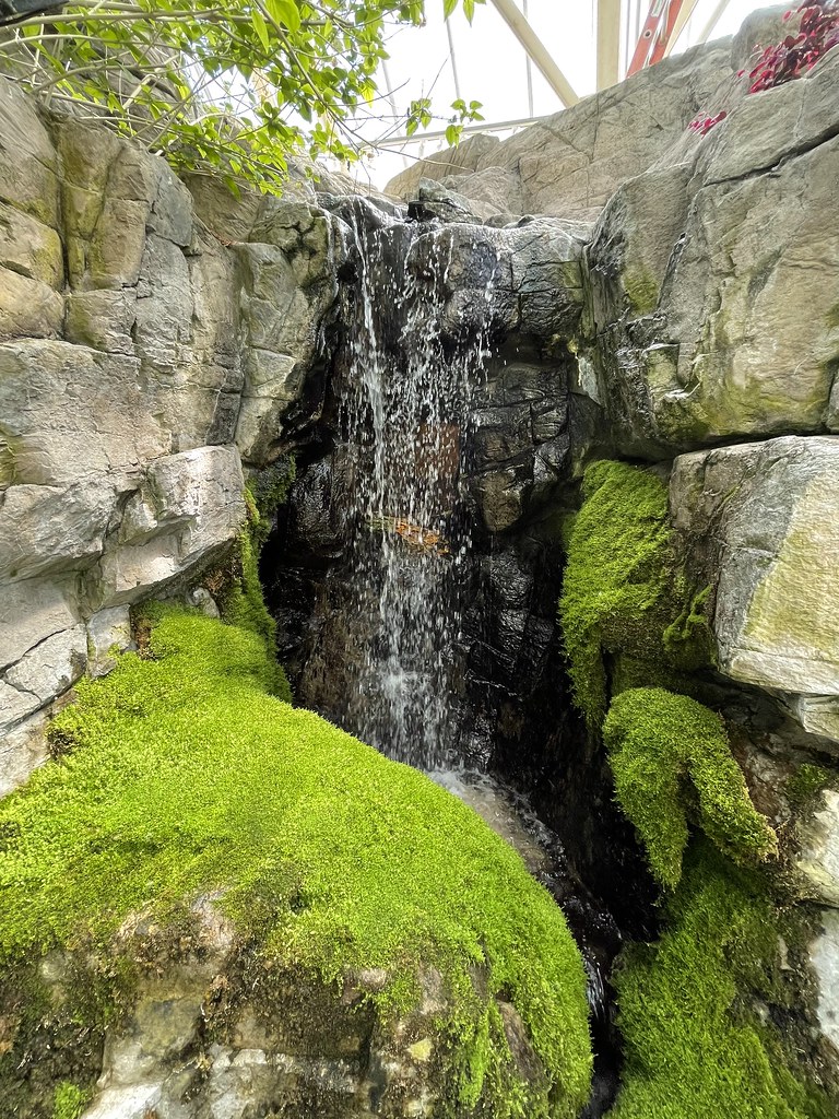 A small waterfall surrounded by mossy rocks. 