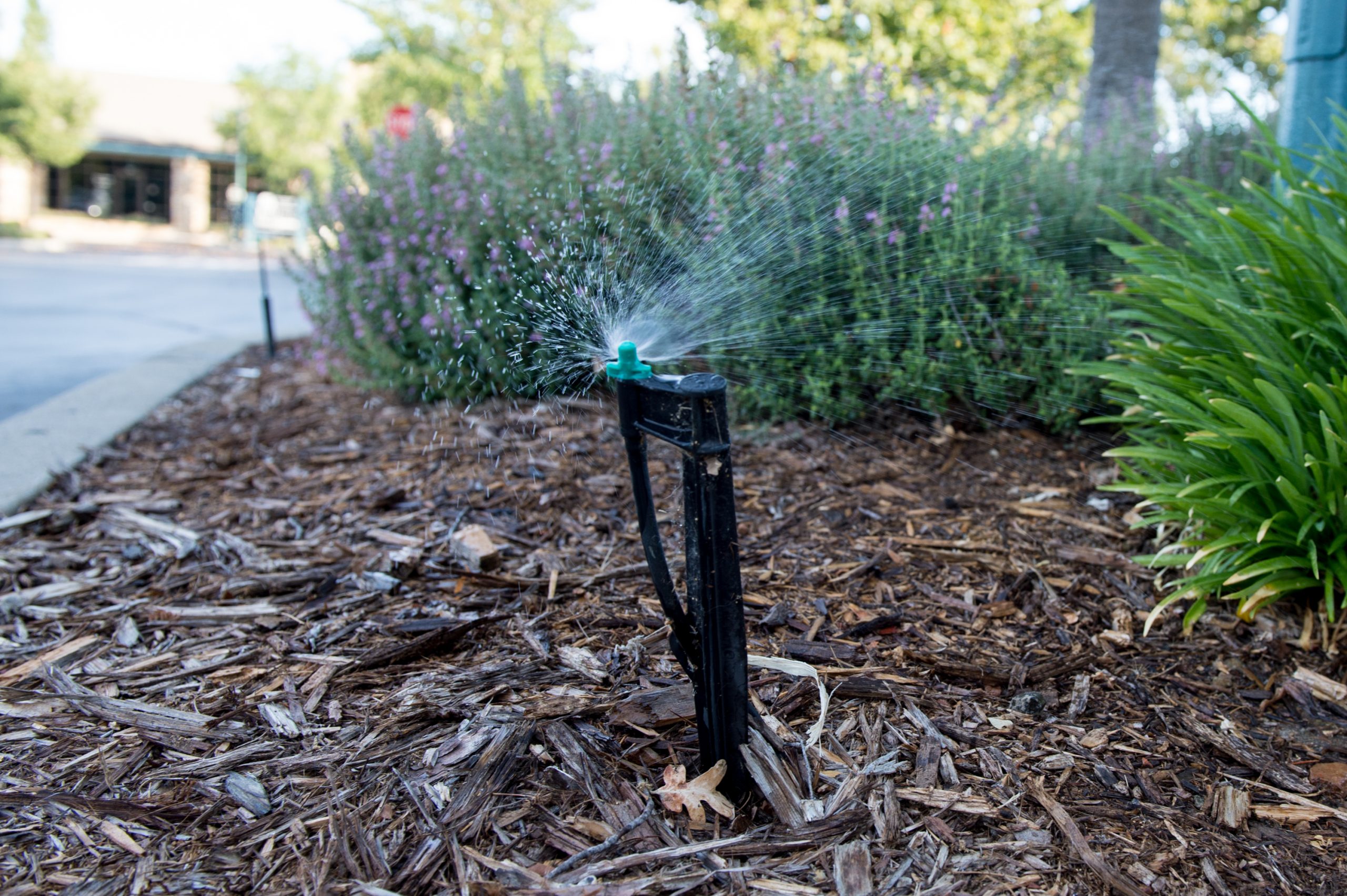 San Jose Officials Tighten Water Restrictions For New Developments Local News Matters