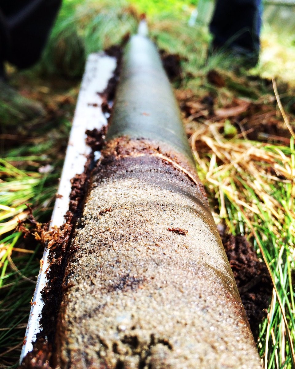 Lake sediment core we retrieved from the base of a modern peat bog. Image copyright Rachel Devine.