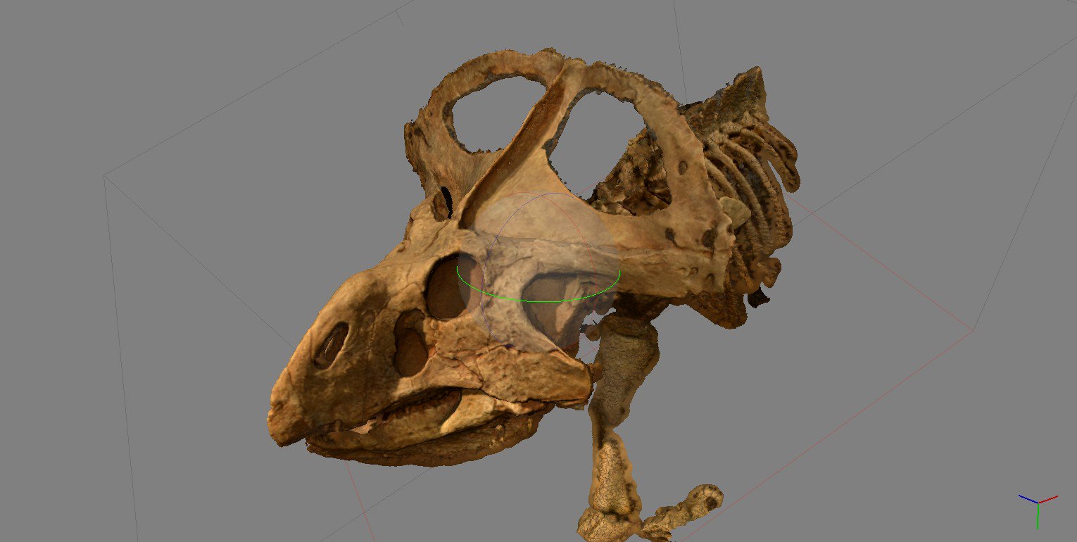 A 3D Scan of a Dinosaur Skull, made by DTP student Andrew Knapp. Image by Andrew Knapp.