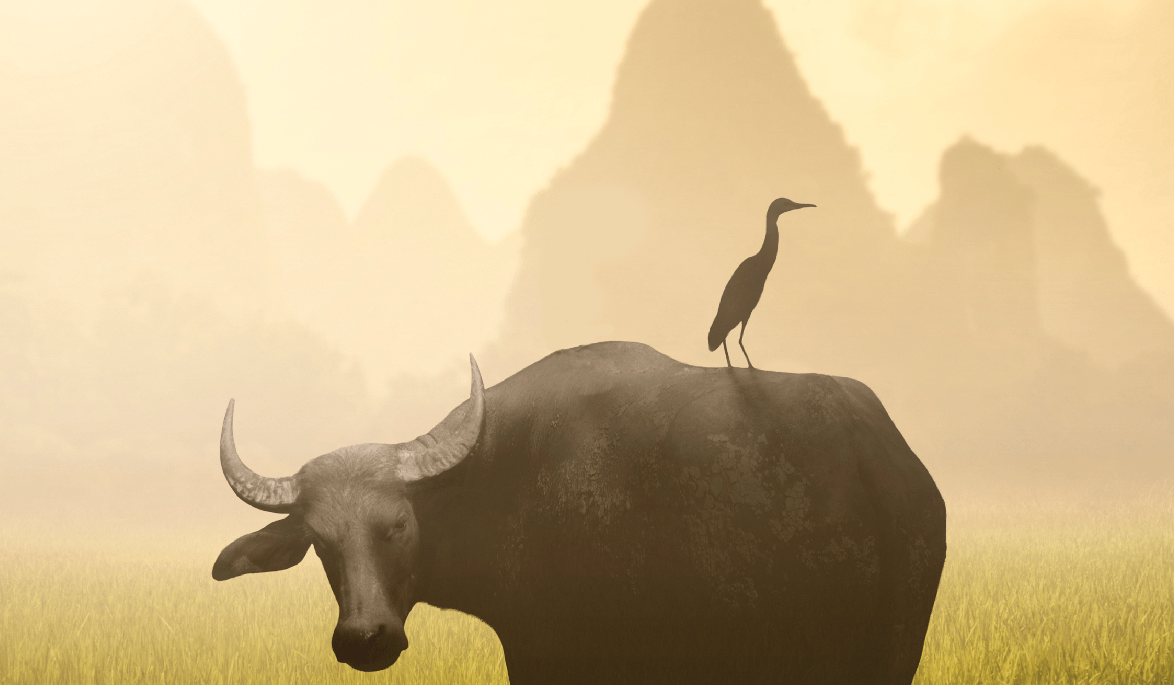 An illustration of an egret resting atop a water buffalo