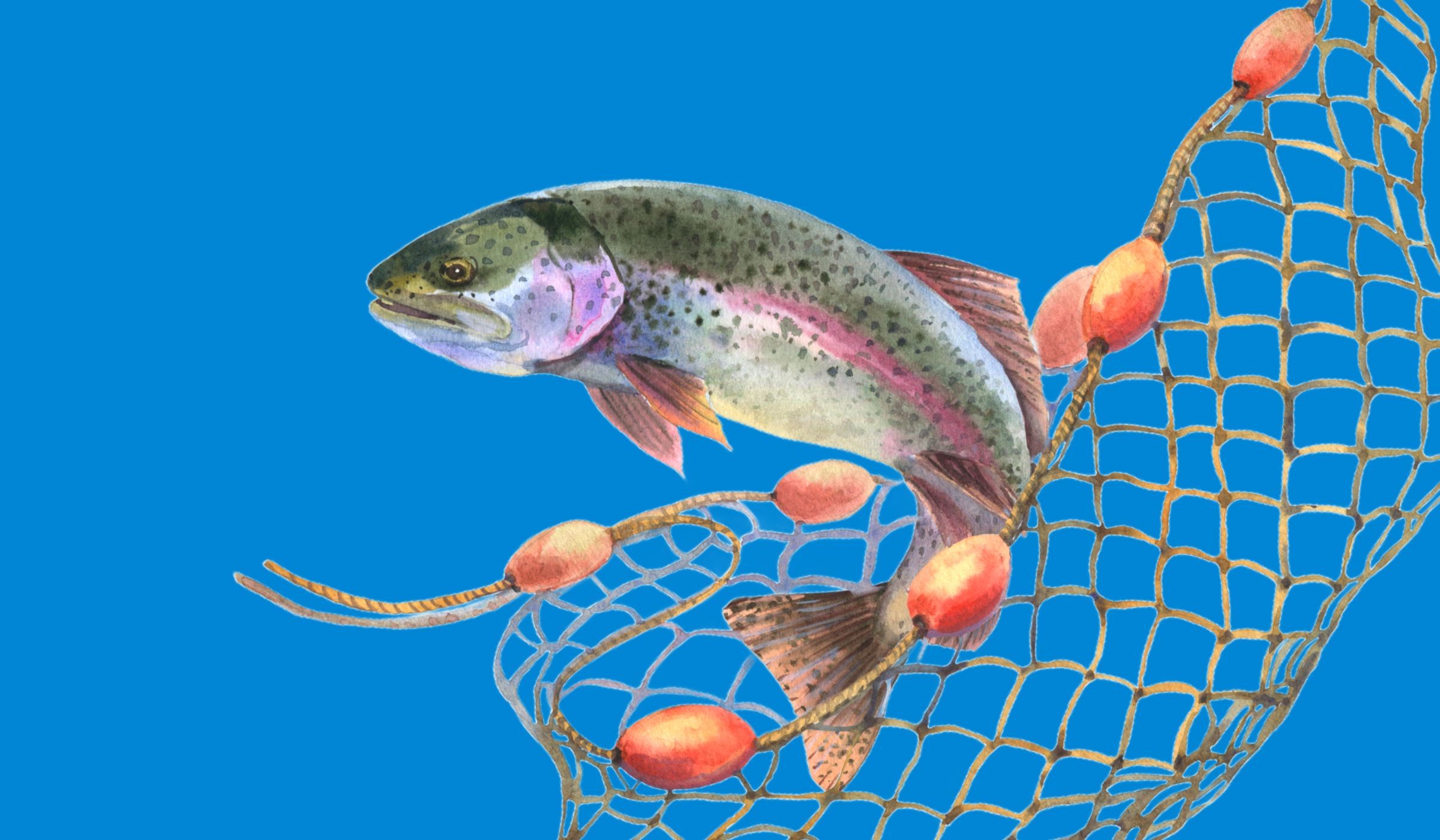 An illustration of a fish escaping a net.