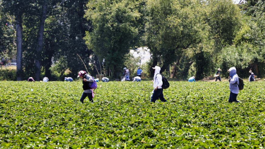 Our farmworkers are being sexually assaulted and poisoned on the job. Why aren’t we helping them?
