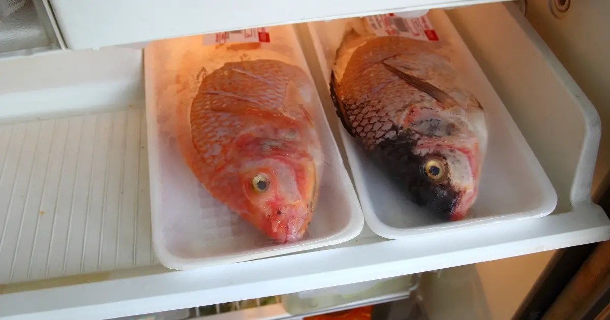 The Right Way To Defrost Frozen Fish Warm Cold Water Or Microwave Madam Ng Recipe