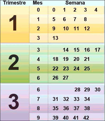 Embarazo Archives Pagina 27 De 28 Mama Y Maestra