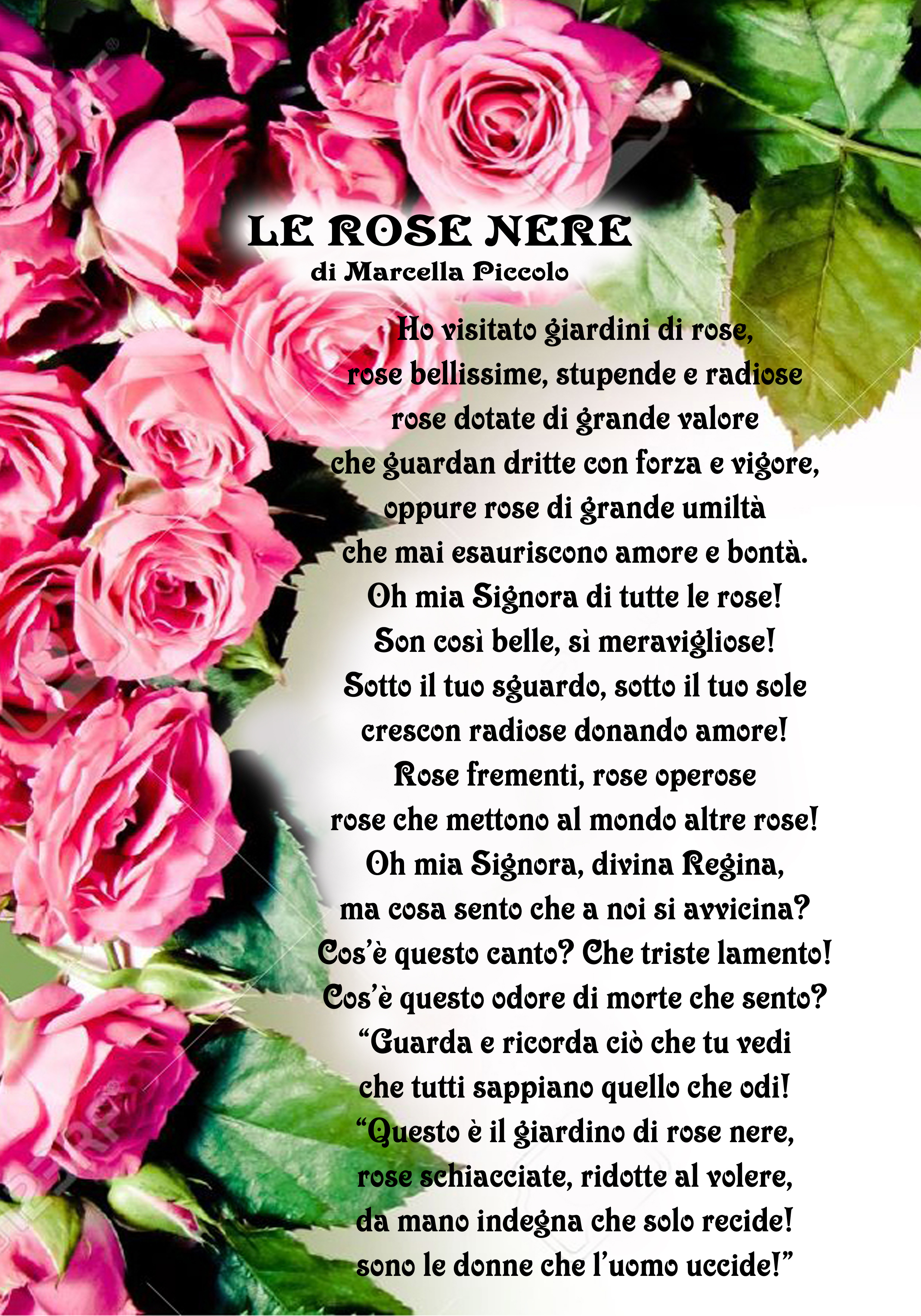 Le Rose Nere Archivi Marcella Piccolo
