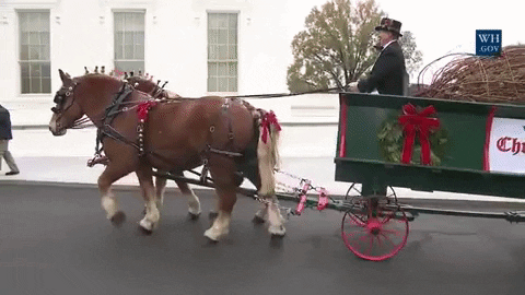 Tis The Season For Archivesgifgiving Narations