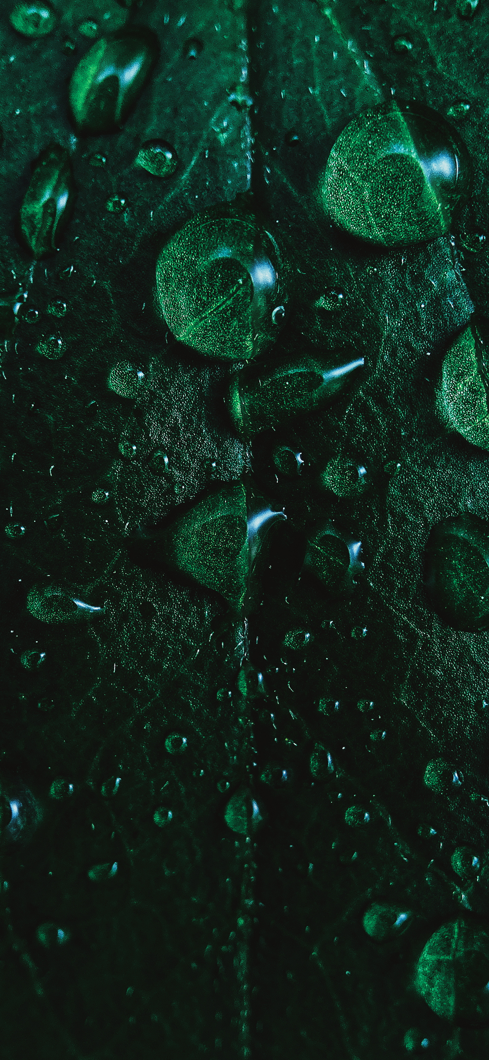 Midnight Green Wallpaper Iphone 11