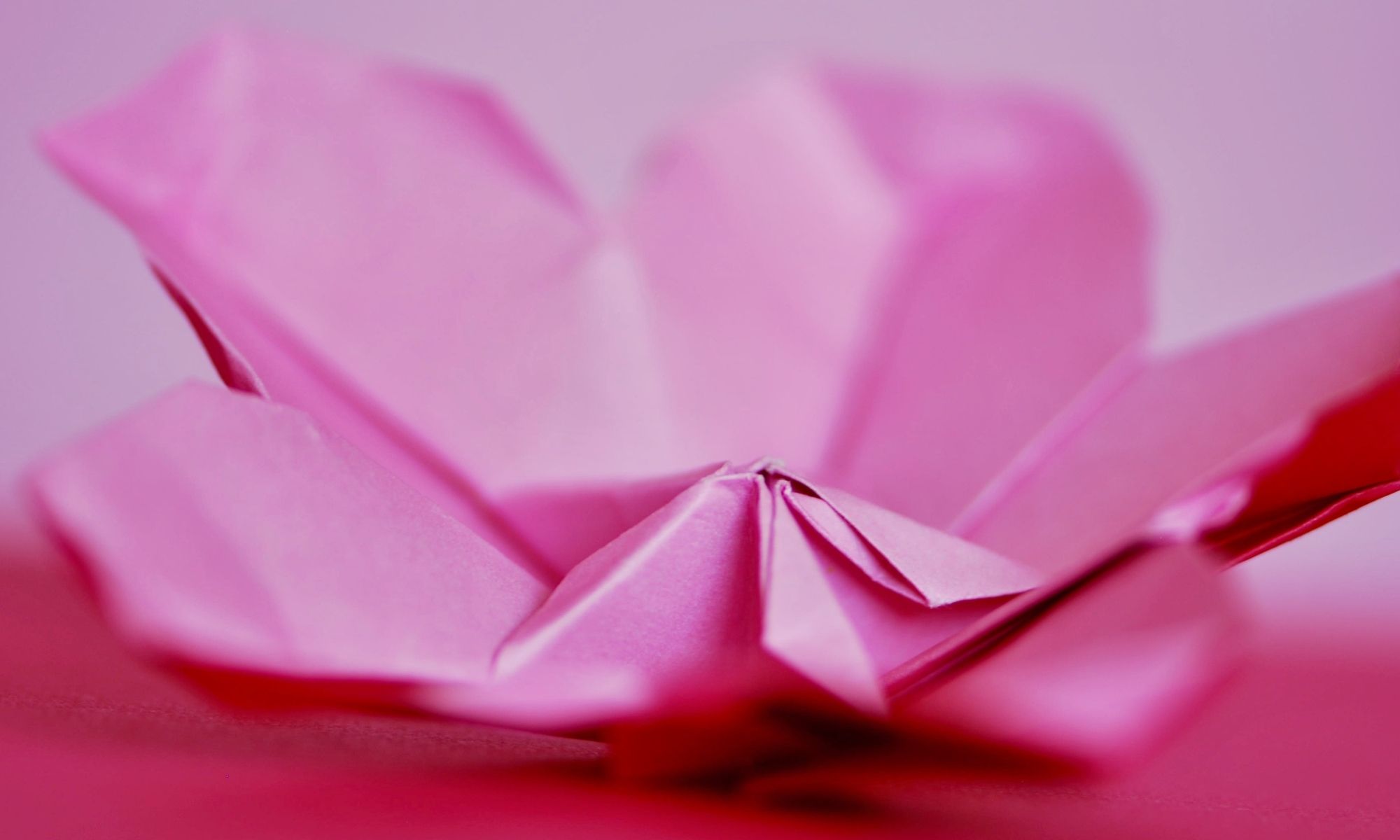 Origami Hur Viker Man En Trana I Papper Livet Med Sandra J
