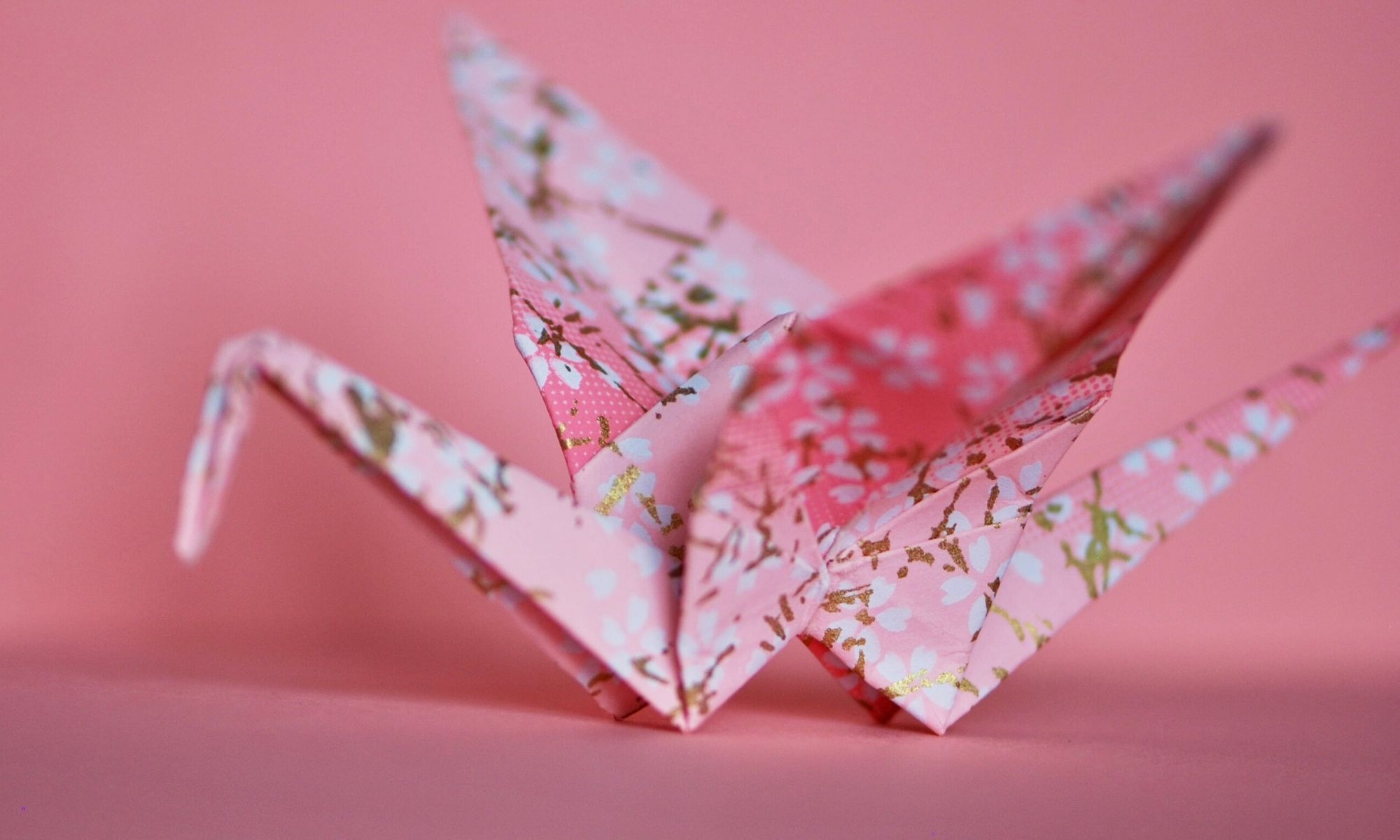 Origami Hur Viker Man En Trana I Papper Livet Med Sandra J