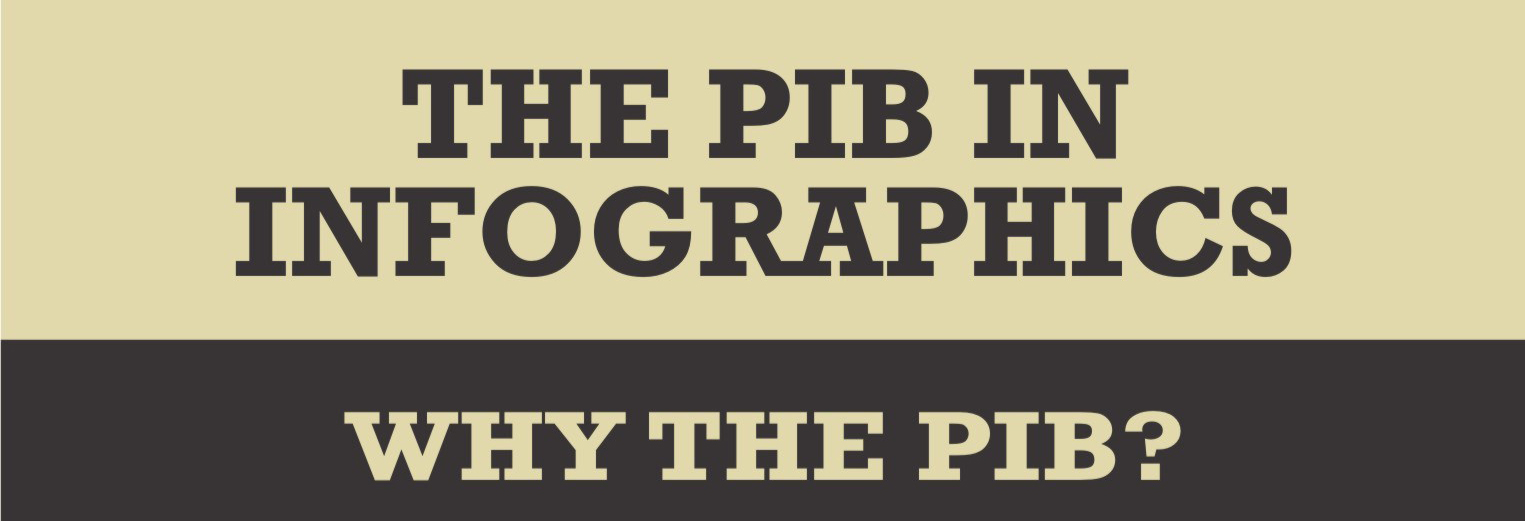 The PIB in infographics